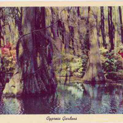Cypress Gardens