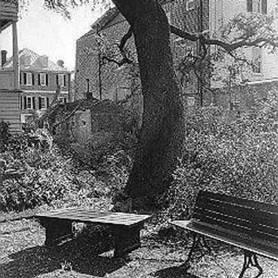 Confederate Home Courtyard After Hurricane Hugo