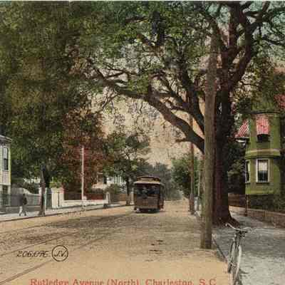 Rutledge Avenue (North), Charleston, S.C. [ 64 Rutledge and 165 Rutledge]