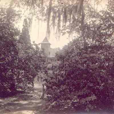 Magnolia Gardens