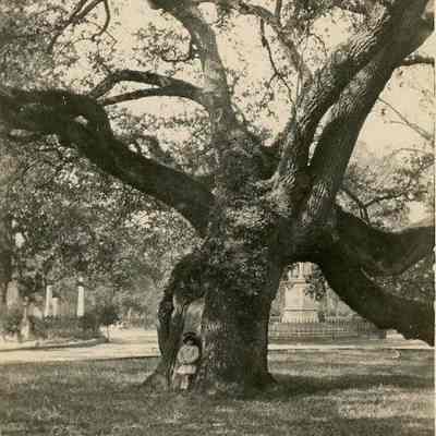 Young Girl and Oak Tree at Magnolia Cemetery