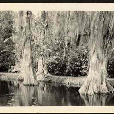 Photo Album Page 51