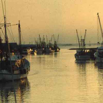 Shem Creek