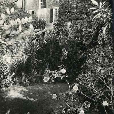 Garden, William Hendricks House (83-85 Church Street)
