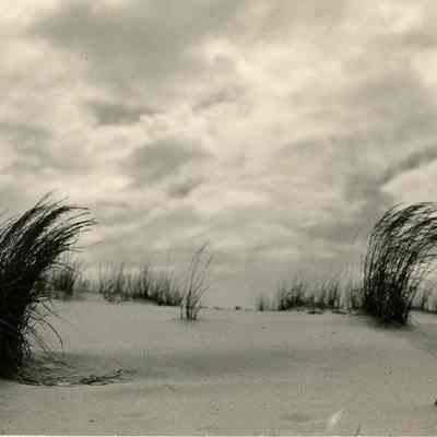 Sand Dunes/Group of Pelicans