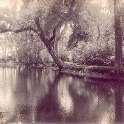 By the River at Magnolia Gardens