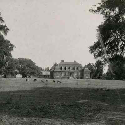 Mulberry Plantation