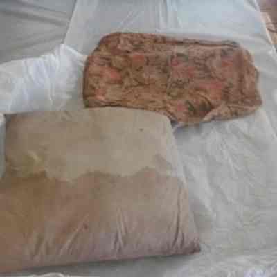 Cushion