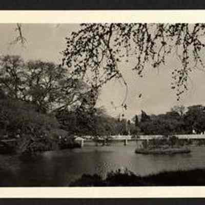 Photo Album Page 24
