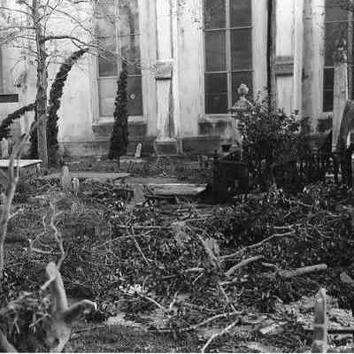 Church Graveyard After Hurricane Hugo