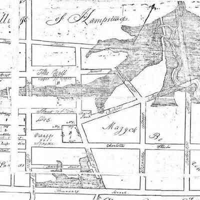 Plan of Wraggborough on Charleston Neck...