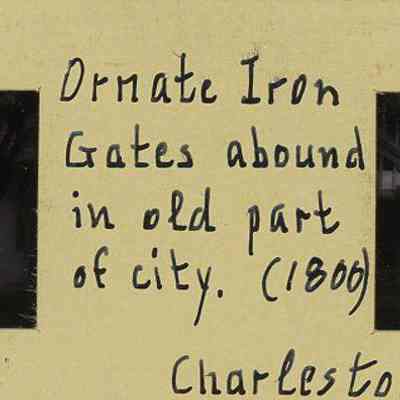 Gate, Charles Elliott House (43 Legare Street)