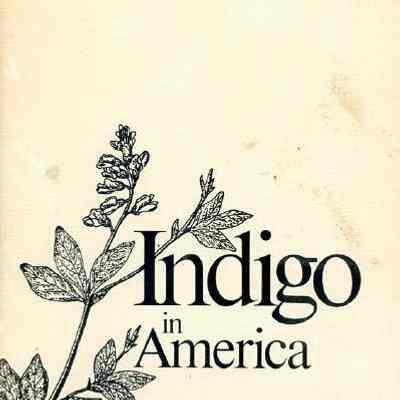 Indigo in America