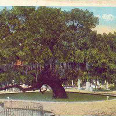 70 Cunnington Avenue (Magnolia Cemetery)