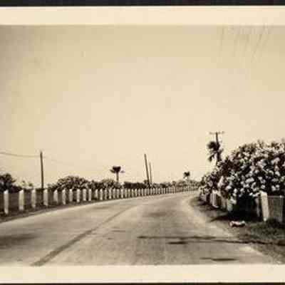 Photo Album Page 56
