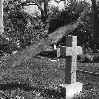 Church Graveyard After Hurricane Hugo
