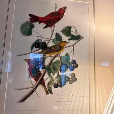 Summer Red Bird, Plate 44