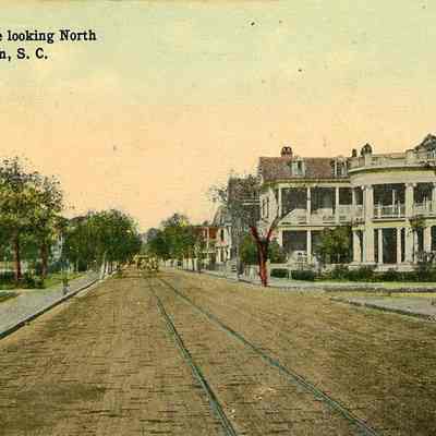 Rutledge Avenue Looking North, Charleston, S.C."