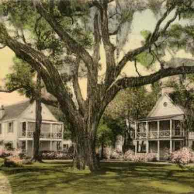 Yeamans Hall Club Cottages