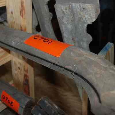 Wood Rail