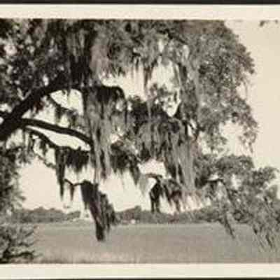 Photo Album Page 37