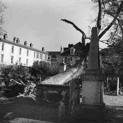 Church Graveyard After Hurricane Hugo