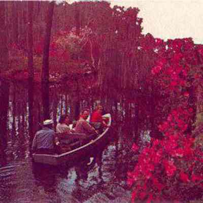Cypress Gardens
