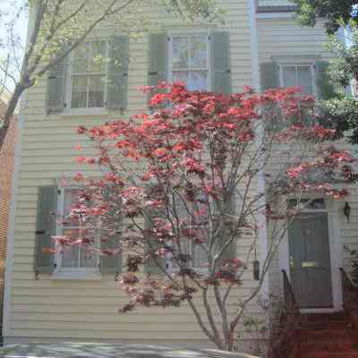 13 Wraggborough Lane