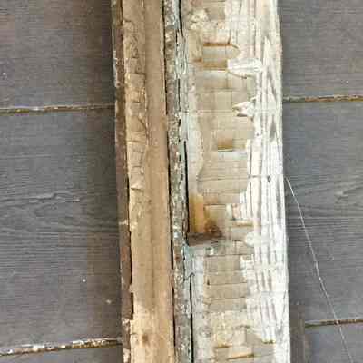 Bolection Molding (Section)
