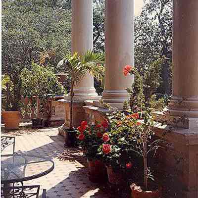 Piazza, 94 Rutledge Street (Isaac Jenkins Mikell House)