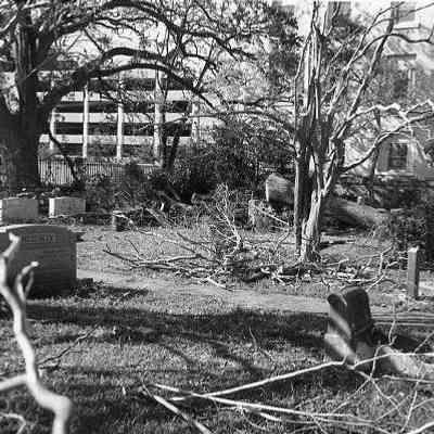 Church Graveyard After Hurricane Hugo
