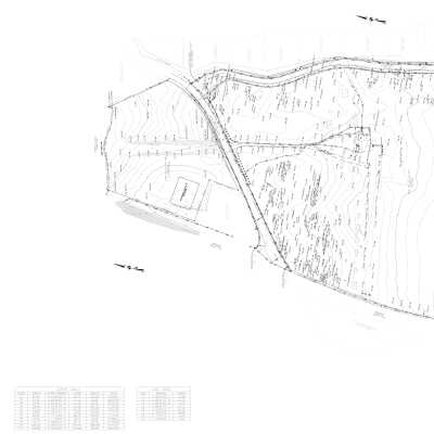 Topographic Survey of McLeod Plantation