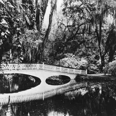 Magnolia Gardens Footbridge and Garden Path