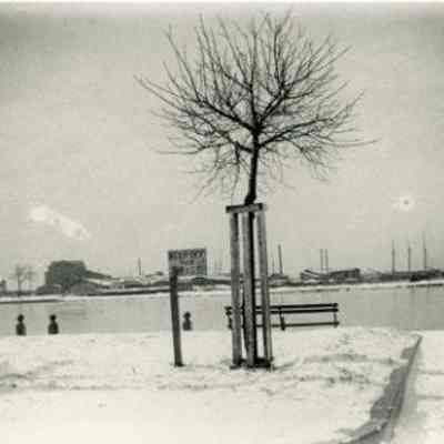 Colonial Lake ("Sign on the Pond in the Snow")