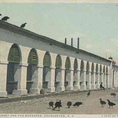 Central Market and the Buzzards, Charleston, S.C.: A Part of the Old Slave Market