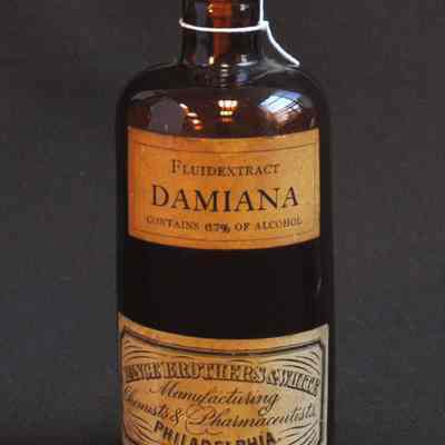 Damiana Extract Bottle