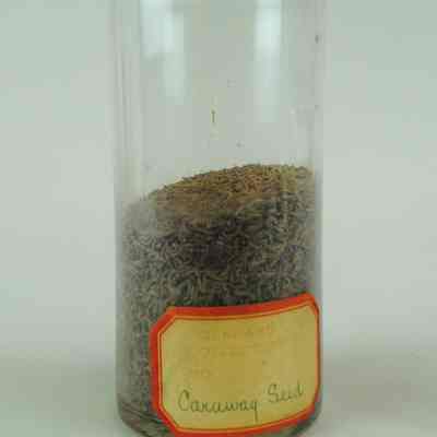 Caraway Seeds