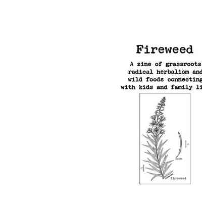 Fireweed