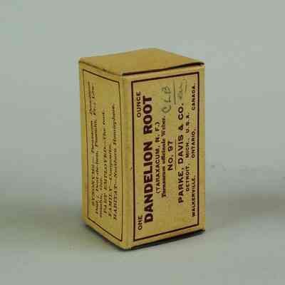 Dandelion Root