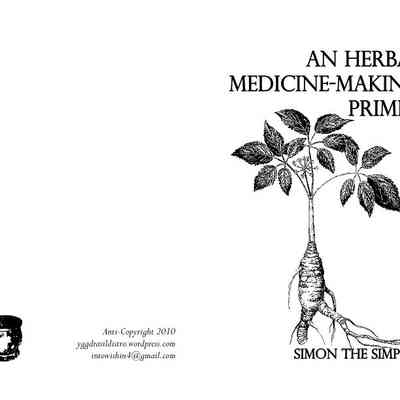 An Herbal Medicine-Making Primer
