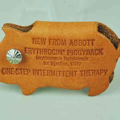 Erythrocin Piggyback Key Holder