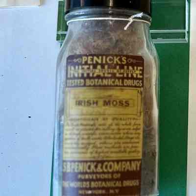 Irish Moss