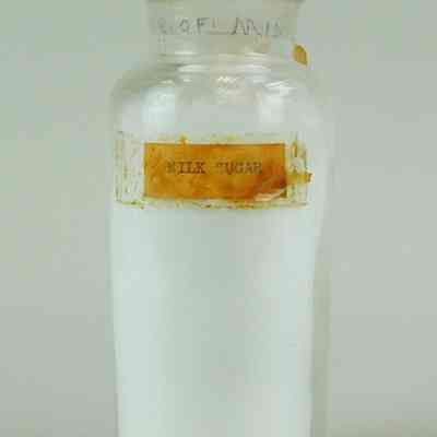 Milk Sugar