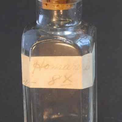 Glass Homeopathy Bottle, Homarus
