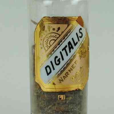 Digitalis