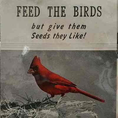 Dubois & Hughes Feed the Birds Pamphlet