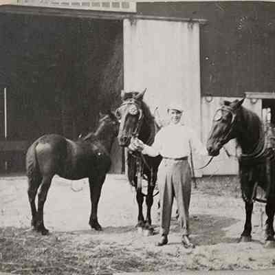 Horse Farm RPPC by Bovee