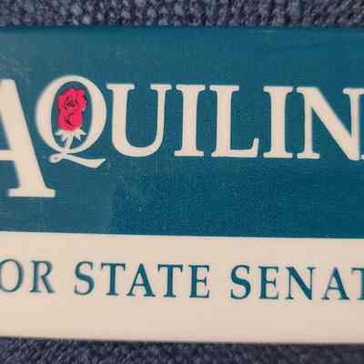 Aquilina for State Senate Rectangular Button
