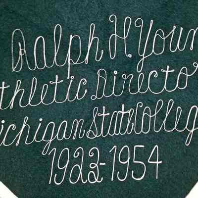 Ralph H. Young Retirement Stadium Blanket