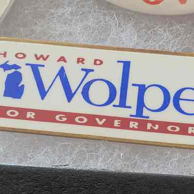 Wolpe for Governor Pin